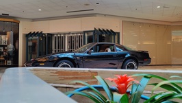 Driver-side profile view of the KITT Knight Rider replica, showcasing the sleek aerodynamic lines and screen-accurate side trim.